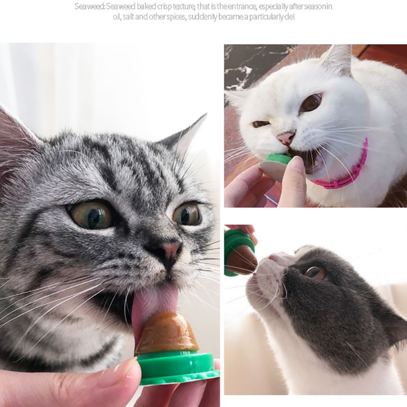 Catnip Energy Ball Lick Toy