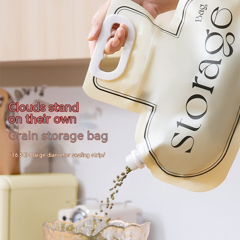 Storage Bag for Your Home